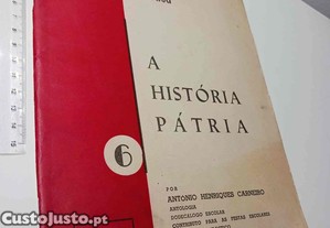 imagem_1