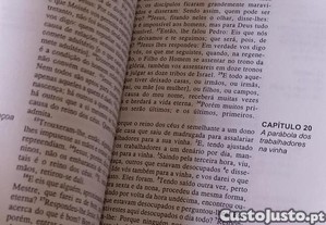 imagem_6