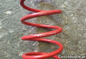 imagem_8