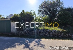 imagem_7