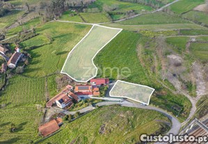 Propriedade Rural Em Meinedo - Duas Moradias...