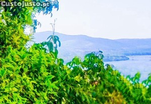 imagem_8