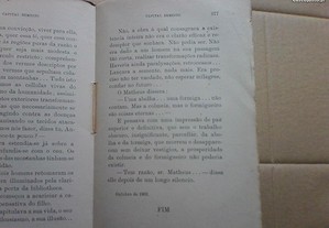 imagem_8