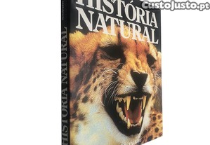 imagem_1