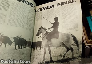 imagem_8