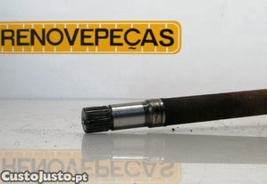imagem_4