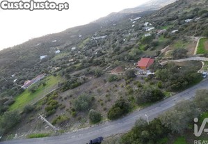 Terreno Agrícola em Conceição e Estoi