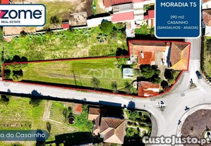 imagem_1