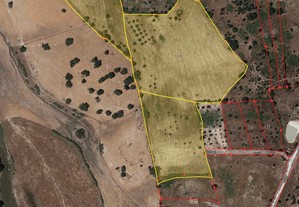 Terreno rústico com 3 hectares em Gáfete, Crato