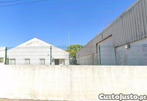 imagem_5