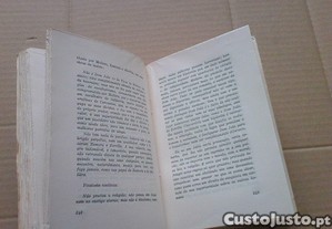 imagem_7