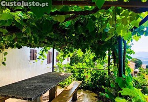 imagem_11