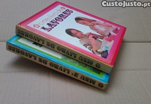 imagem_3