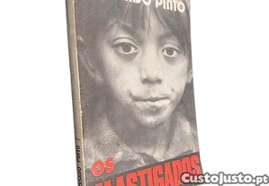 imagem_1