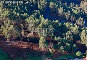 Terreno Rústico Localizado Na Póvoa De Lanhoso