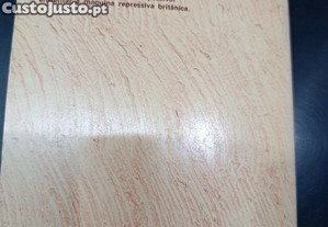 imagem_7