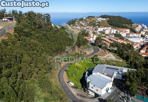 imagem_1