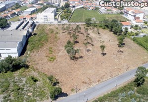 Terreno Para Construção Com 8.787 M2 - Arcozelo...