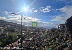 imagem_11
