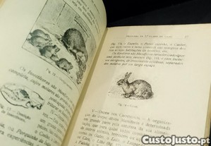 imagem_6