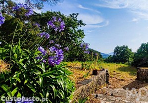 imagem_23