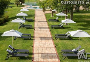imagem_31
