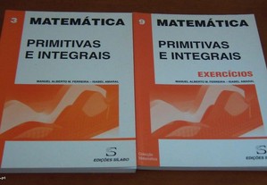 Primitivas e Integrais /Primitivas e Integrais - Exercícios de Manuel Alberto M. Ferreira Sílabo