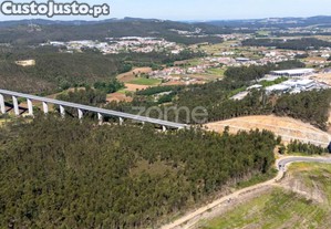 Terreno Rústico - 35.600M2 - Cedões - Trofa