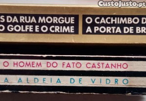 imagem_8