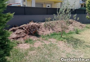 Terra e entulho