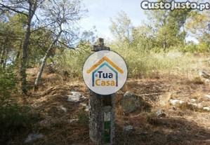 imagem_17