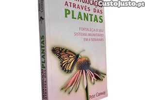 imagem_1