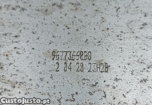 imagem_2