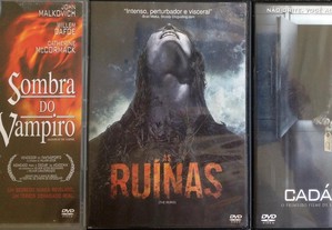 imagem_3