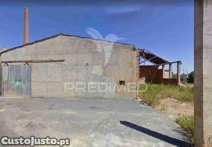 imagem_8