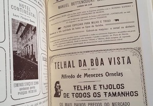 imagem_7