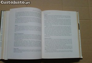 imagem_6