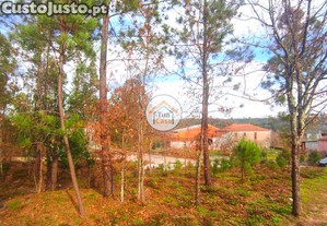 imagem_16