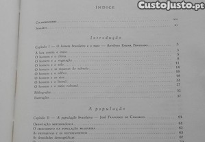 imagem_13
