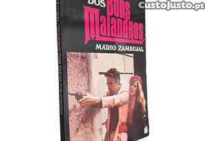 imagem_1