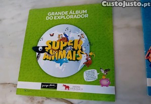 imagem_5