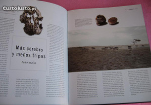 imagem_7