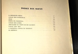 imagem_3