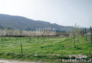 imagem_7