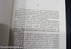 imagem_2