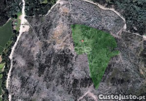 Terreno Florestal De 18600 M2 Com Vistas...