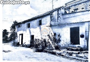 imagem_12