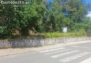 imagem_13