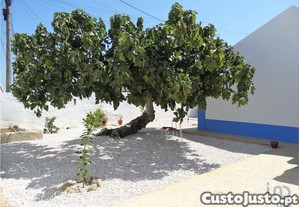 Casa / Villa T2 em A dos Cunhados e Maceira de 83,00 m²