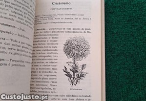 imagem_8